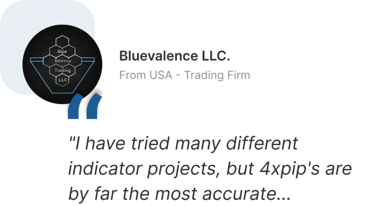 bluevalence-LLC