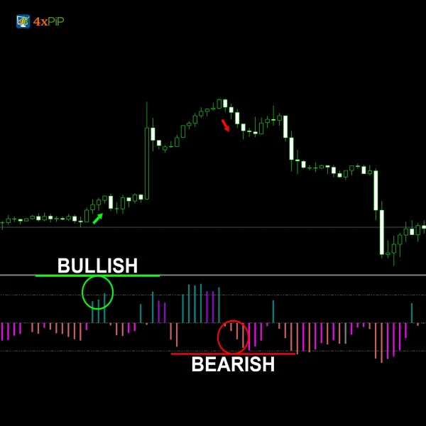 MT5 MACD Explained Indicator