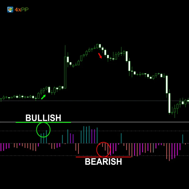 MT5 MACD Explained Indicator