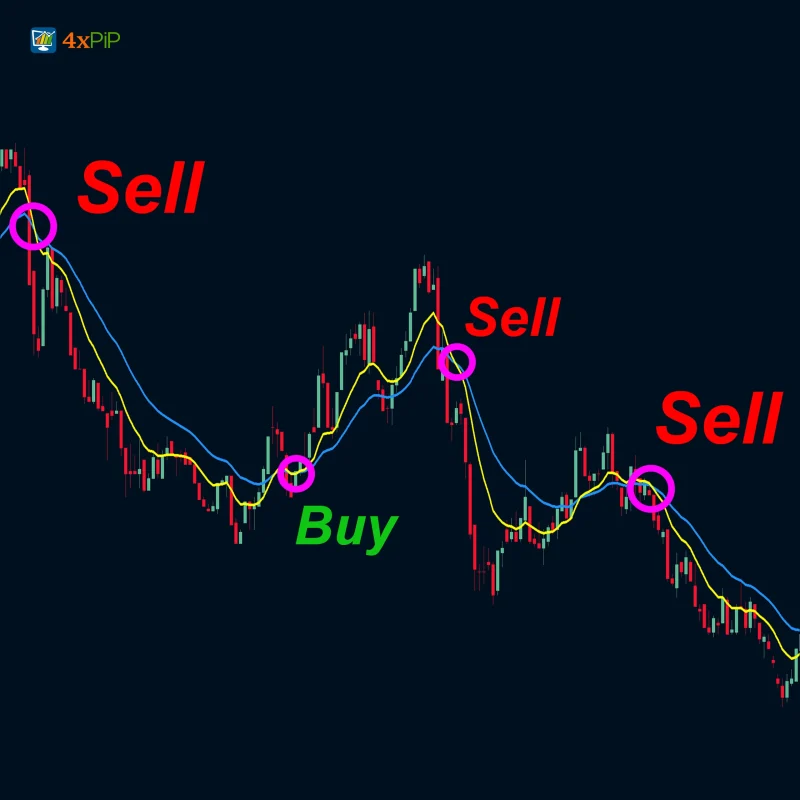 MT5 EA Moving Average Crossover