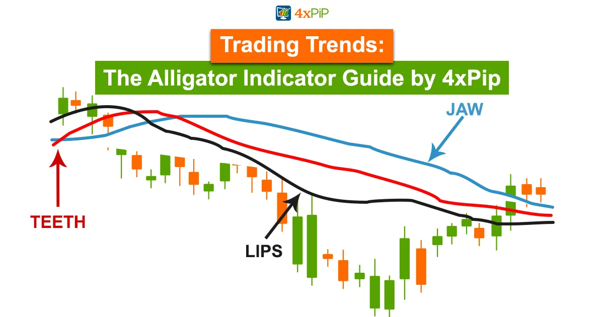 trading-trends-the-alligator-indicator-guide-by-4xPip